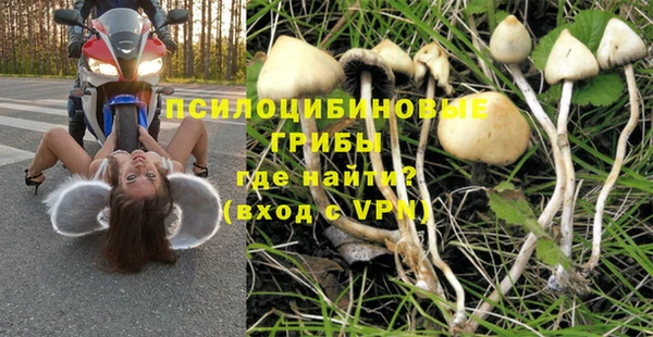 ешки Семёнов