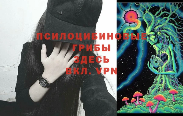 ешки Семёнов