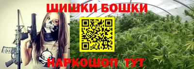 дмт Гай