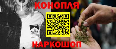 дмт Гай
