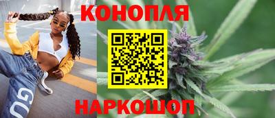 ALPHA PVP Гатчина