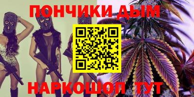 дмт Гай