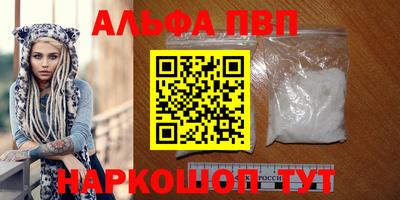 дмт Гай