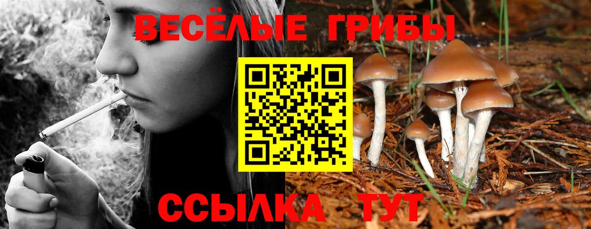 Галлюциногенные грибы MAGIC MUSHROOMS  где купить   Галлюциногенные грибы прущие грибы  Красный Сулин  Вход с VPN 