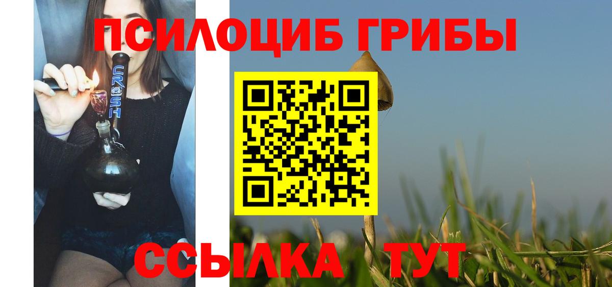 Псилоцибиновые грибы мицелий Красный Сулин